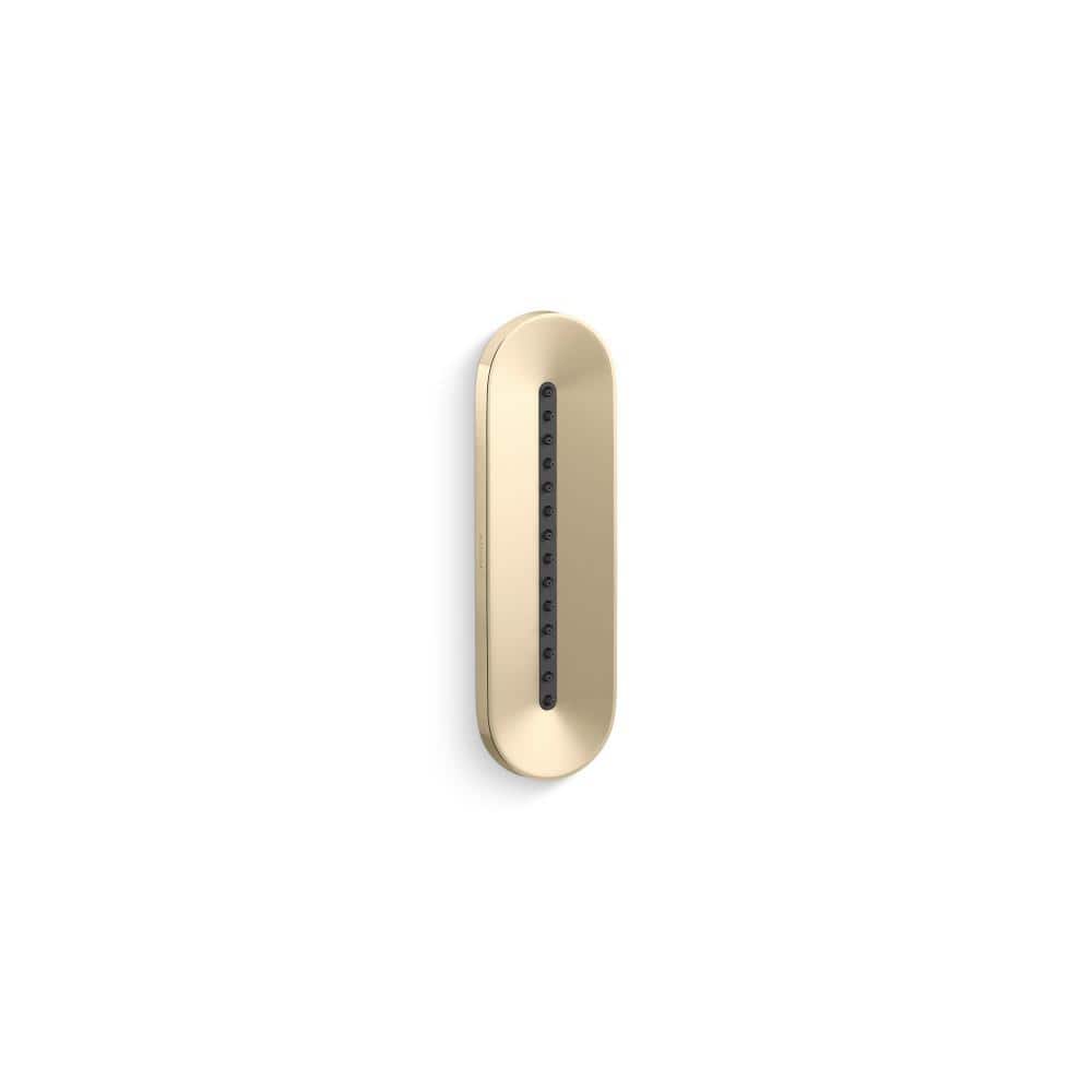 KOHLER Statement Oblong Vichy 1.75 GPM 1-Spray Body Spray in Vibrant French Gold (1)