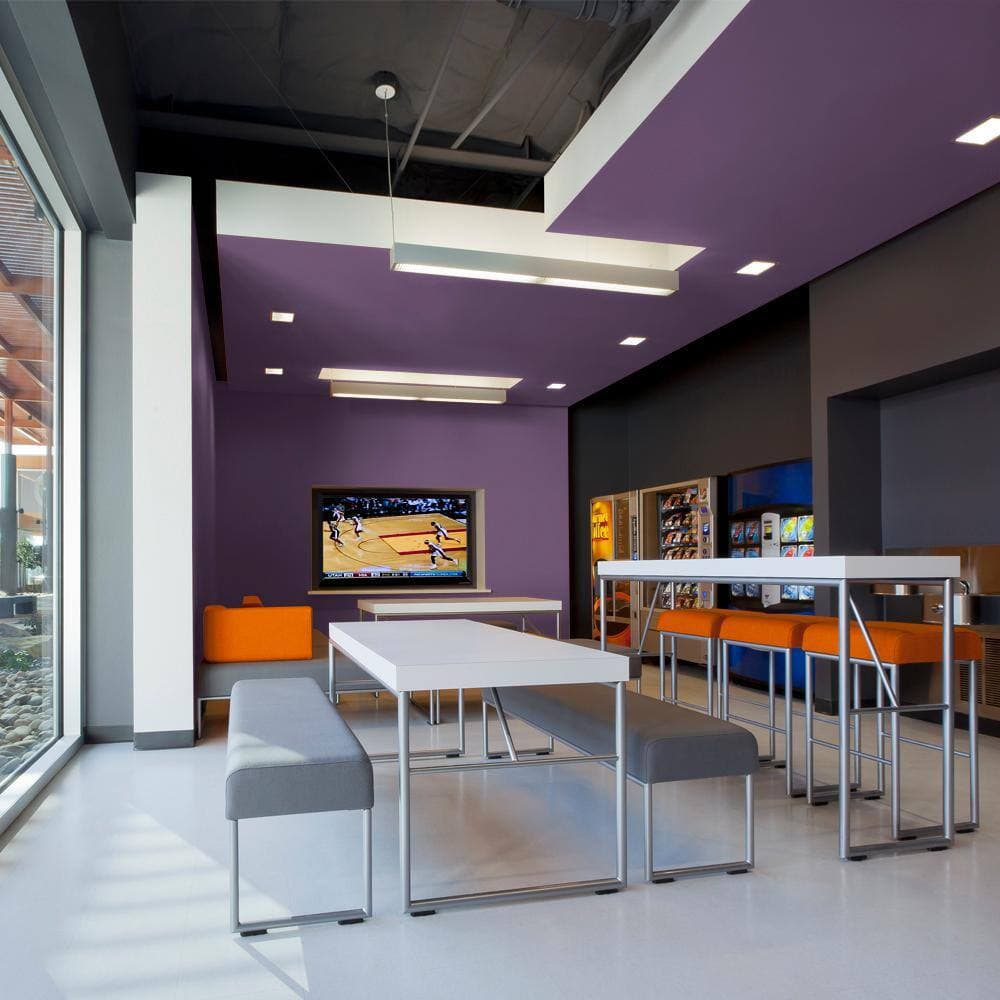 BEHR PRO 1 gal. #S-G-670 Deep Violet Semi-Gloss Interior Paint (4)
