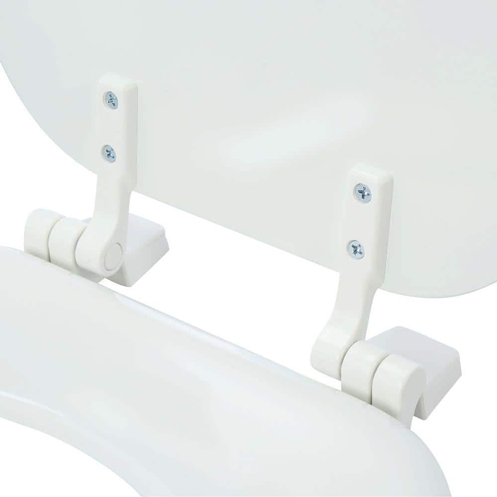 Unbranded Round Enameled Wood Toilet Seat in White (3)