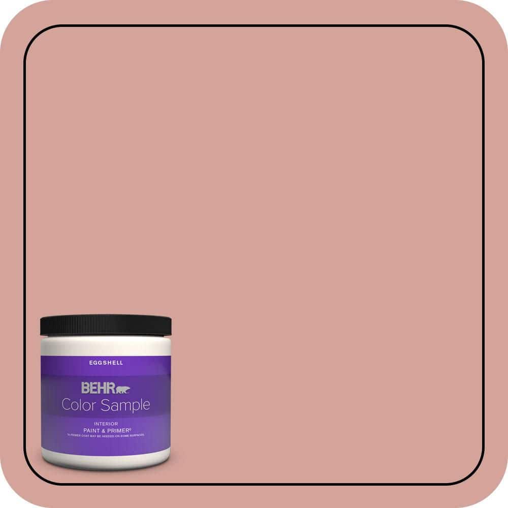 BEHR PREMIUM PLUS #S160-3 Bubble Shell Enamel & Primer Color Sample (1)