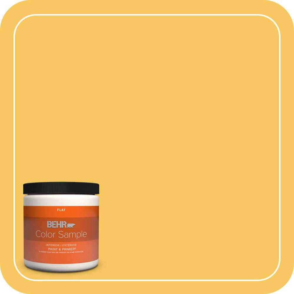 BEHR PREMIUM PLUS #P280-5 Little Sun Dress Flat Interior/Exterior Paint & Primer Color Sample (1)