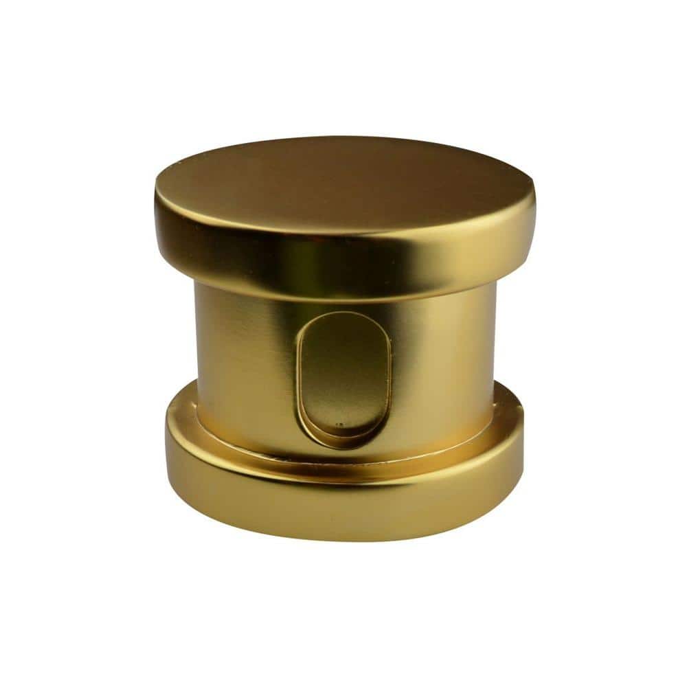 SteamSpa Steam Bath Generator 2 in. W Steam Head with Essential Oils Aromatherapy Scent Reservoir Channel in Polished Gold (3)