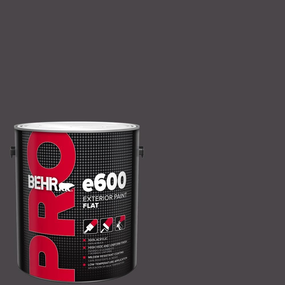 BEHR PRO 1 gal. #N550-7 Catwalk Flat Exterior Paint