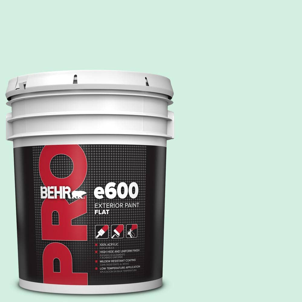 BEHR PRO 5 gal. #P420-1 Spring Frost Flat Exterior Paint