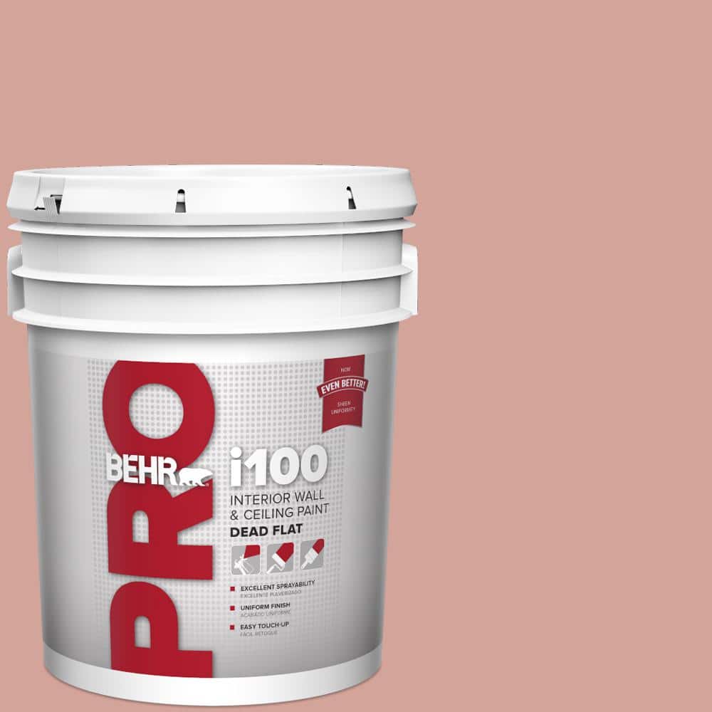 BEHR PRO 5 gal. #S160-3 Bubble Shell Dead Flat Interior Paint