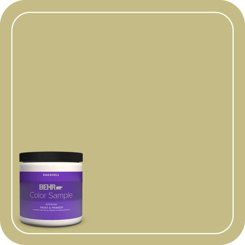BEHR PREMIUM PLUS #T13-19 Gnome Green Enamel & Primer Color Sample