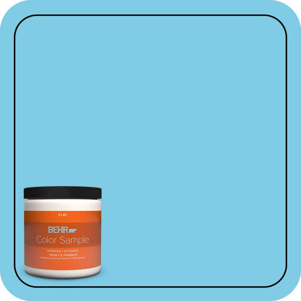 BEHR PREMIUM PLUS #P490-3 Big Chill Enamel Low Odor & Primer (1)