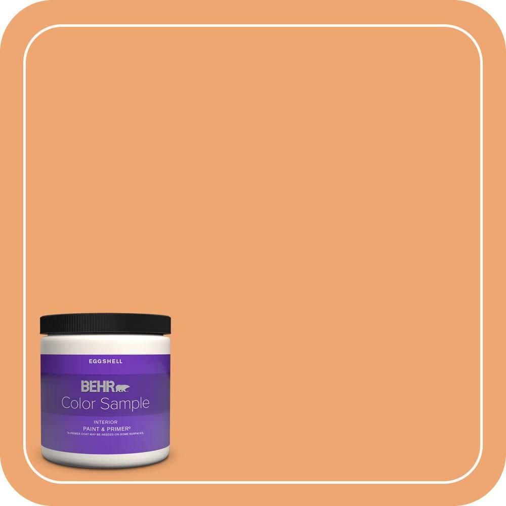 BEHR PREMIUM PLUS #HDC-SP16-04 Apricot Jam Enamel Low Odor & Primer (1)