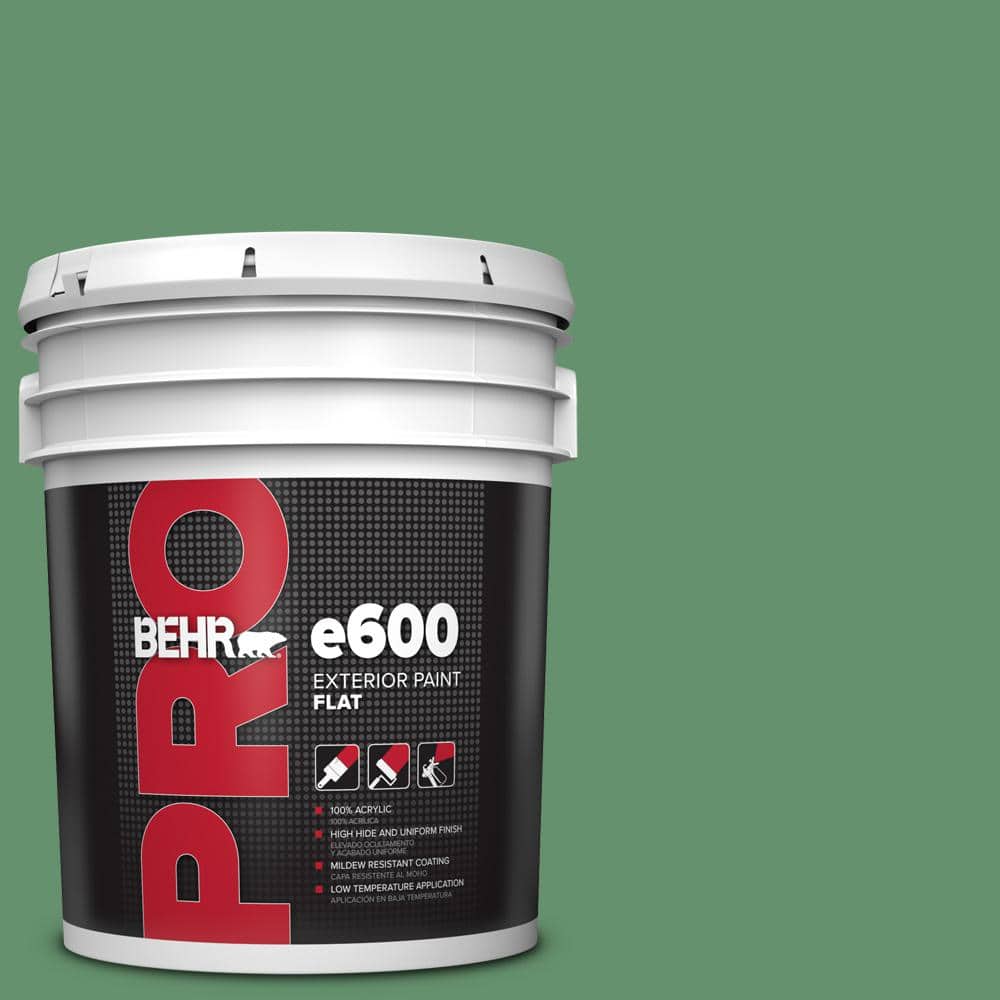BEHR PRO 5 gal. #M410-6 Turtle Creek Flat Exterior Paint