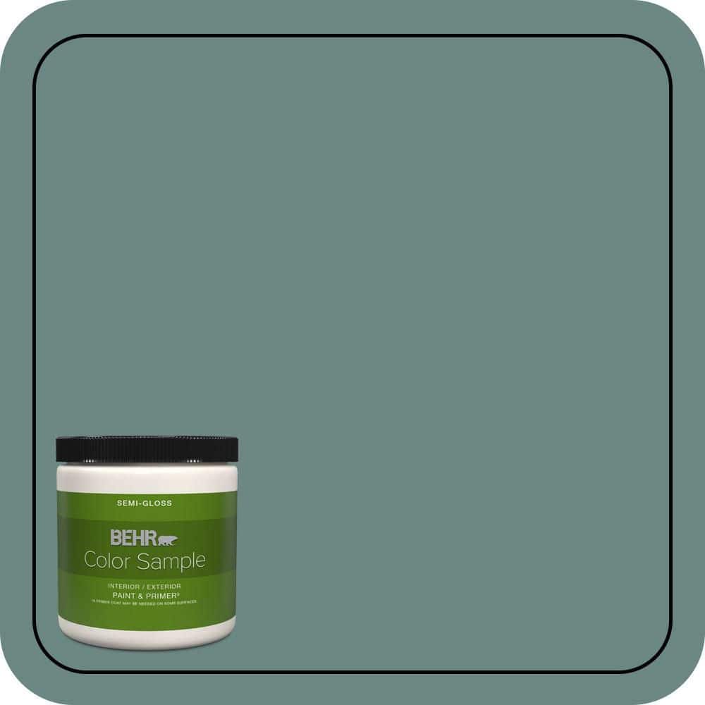 BEHR PREMIUM PLUS #480F-5 Marsh Creek Interior/Exterior Paint & Primer Color Sample (1)