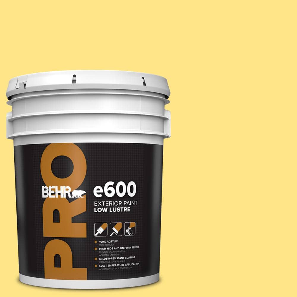 BEHR PRO 5 gal. #P300-5 Upbeat Low Luster Exterior Paint
