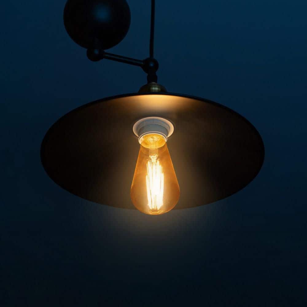 Feit Electric 60-Watt ST19 Dimmable Cage Filament Amber Glass E26 Vintage Edison Incandescent Light Bulb, Warm White (6-Pack) (3)
