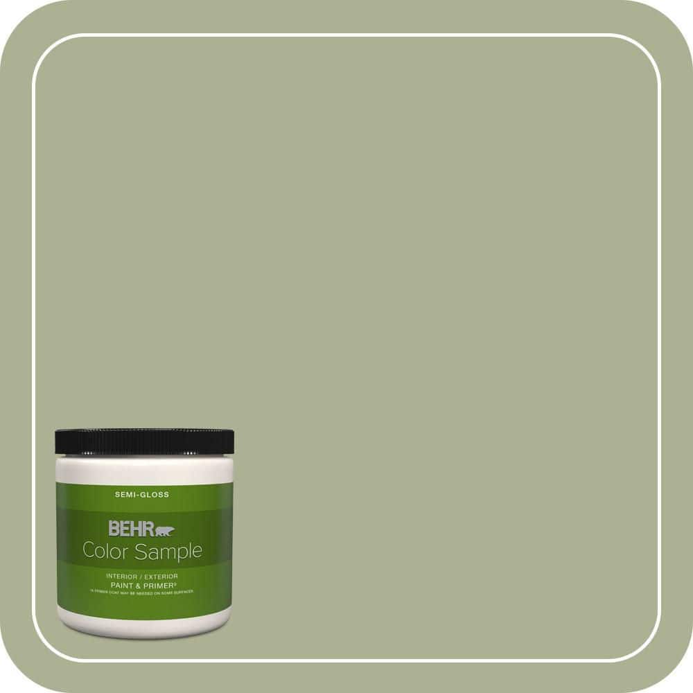 BEHR PREMIUM PLUS #PPU10-06 Spring Walk Flat Low Odor & Primer (1)