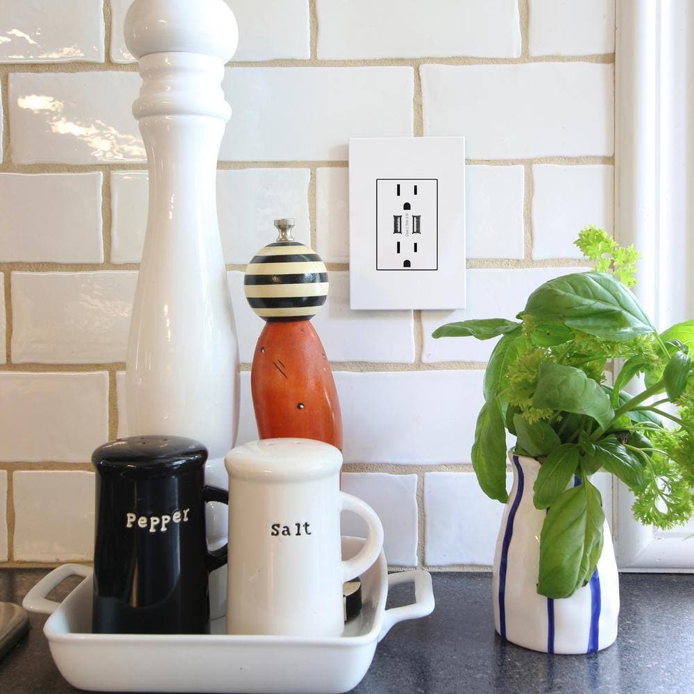 Legrand adorne Amp 125-Volt Dual USB Plus-Size Duplex Outlet with Wall Plate (3)