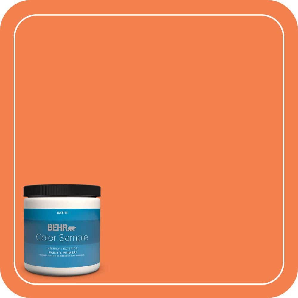 BEHR PREMIUM PLUS #220B-6 Harvest Pumpkin Enamel Interior/Exterior Paint & Primer Color Sample (1)