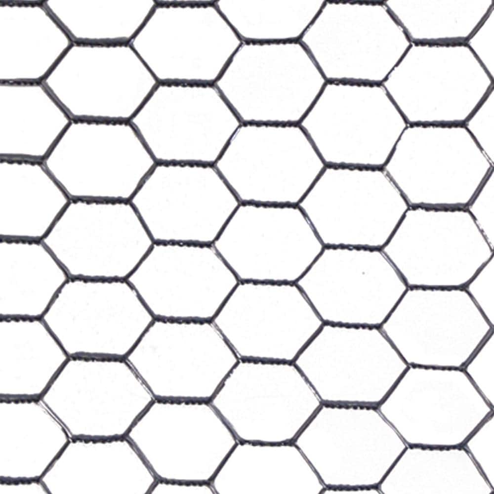 Acorn Hardware 1 in. x 4 ft. x 50 ft. Poultry Netting (2)