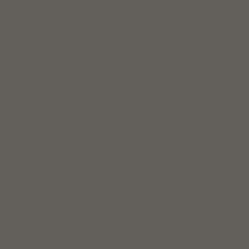 Glidden Premium 8 oz. PPG0999-7 Dark Woods Satin Interior Paint Sample (4)