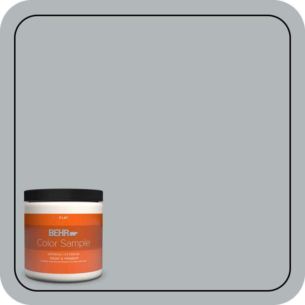 BEHR PREMIUM PLUS 8 oz. #N450-3 Meteor Shower Flat Interior/Exterior Paint & Primer Color Sample