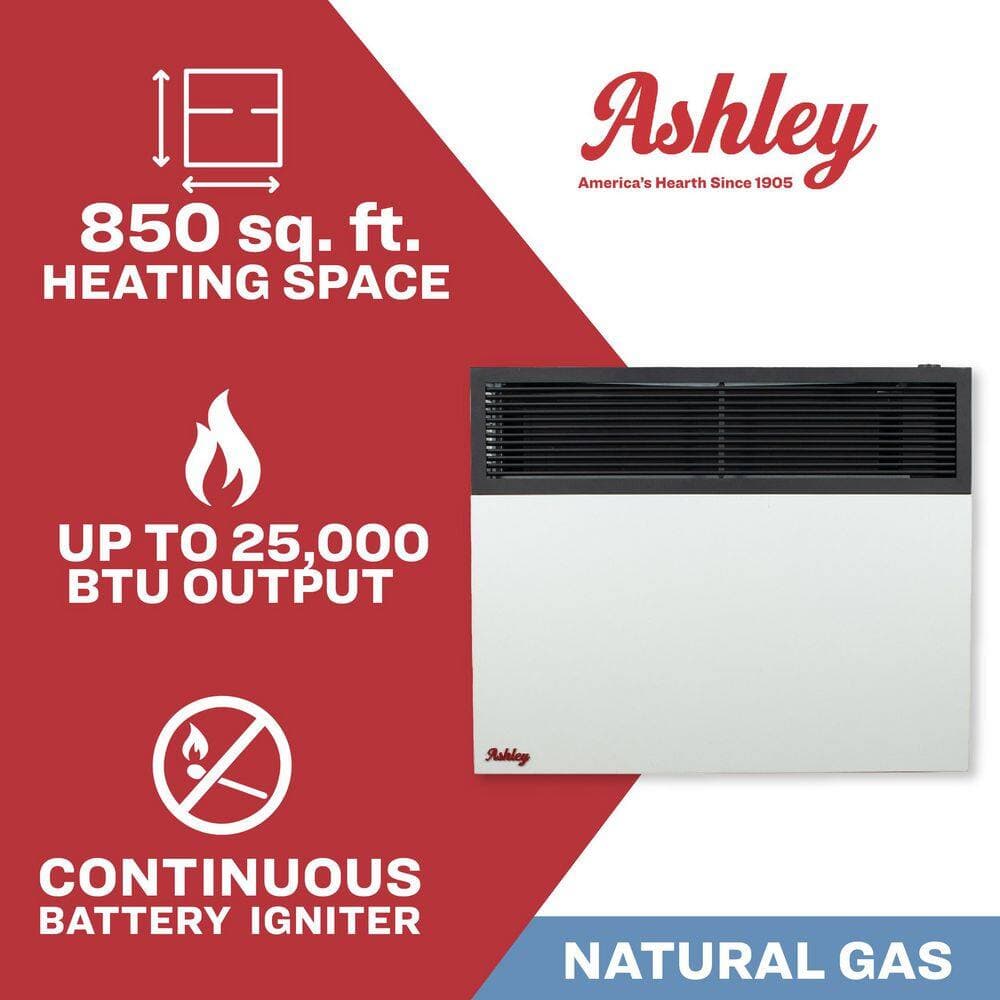 Ashley Hearth Products 25,000 BTU Direct Vent Natural Gas Heater (2)