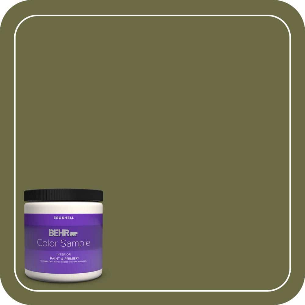 BEHR PREMIUM PLUS Home Decorators Collection #HDC-CL-20 Portsmouth Olive Enamel & Primer Color Sample (1)