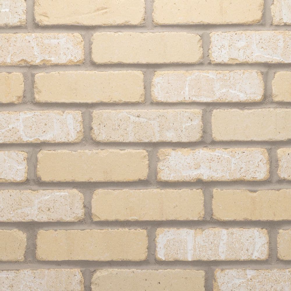 Old Mill Brick Sample Box Sundance Thin Brick 7.625 in. x 2.25 in. x 0.5 in. (3)