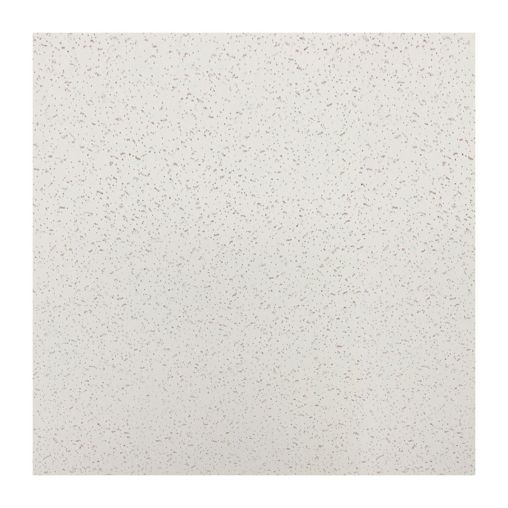 Gigrwiin White 2 ft. x 2 ft. Decorative Smooth Ceiling Tile 48 (sq. ft. / case) 12-Tiles