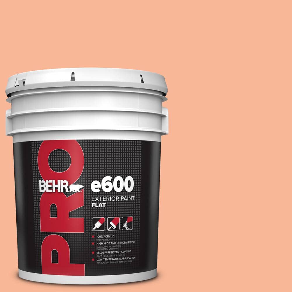 BEHR PRO 5 gal. #P190-3 Melon Sorbet Flat Exterior Paint