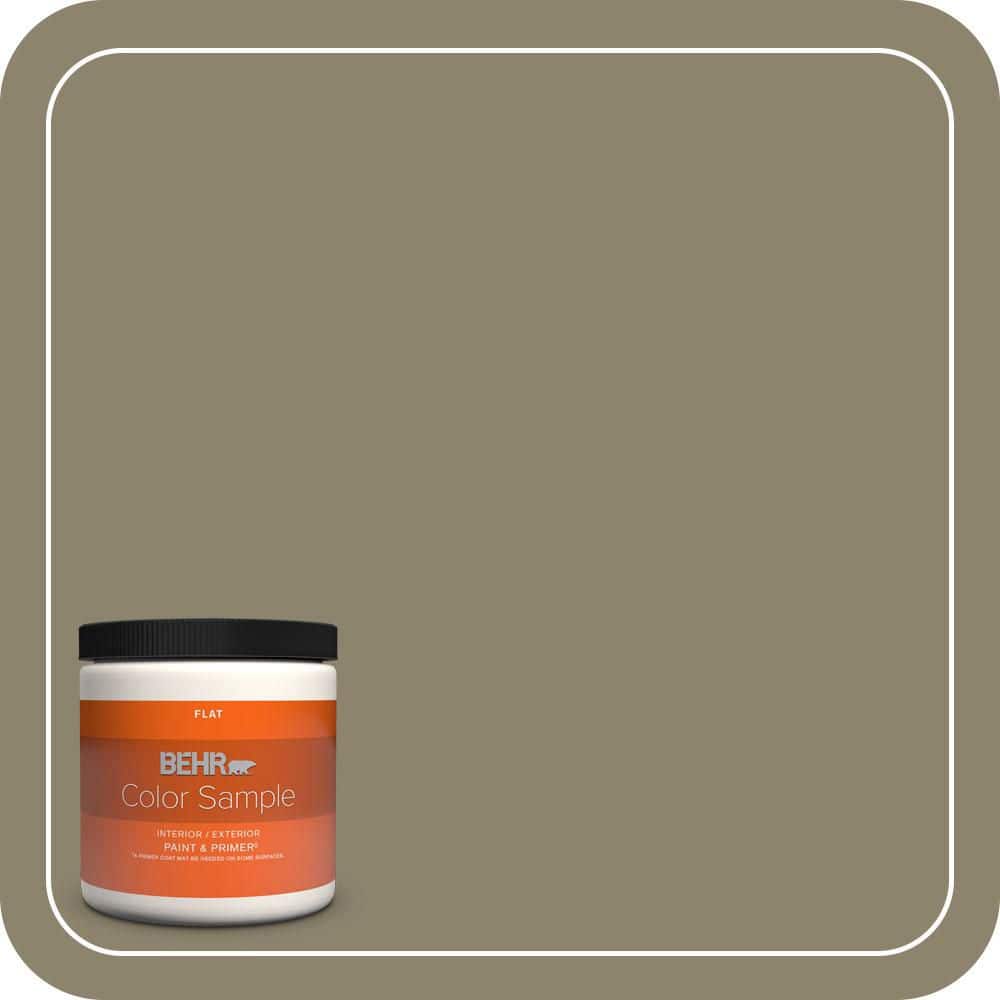 BEHR PREMIUM PLUS #ECC-55-3 Olive Sprig Enamel Interior/Exterior Paint & Primer Color Sample (1)