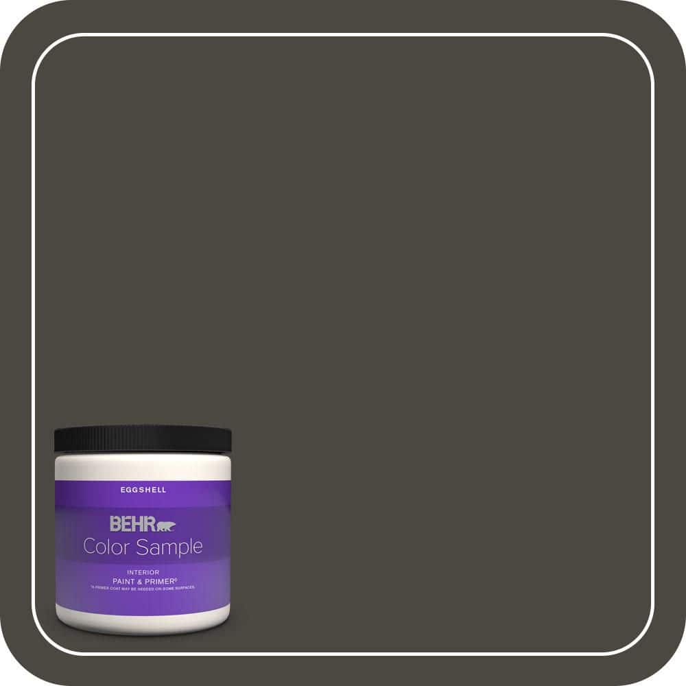 BEHR PREMIUM PLUS #T18-11 Unplugged Enamel Interior/Exterior Paint & Primer Color Sample (1)