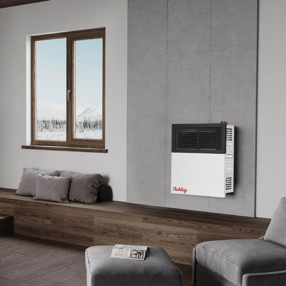 Ashley Hearth Products Ashley Direct Vent Wall Heater Dual Fuel, 11K BTU (3)