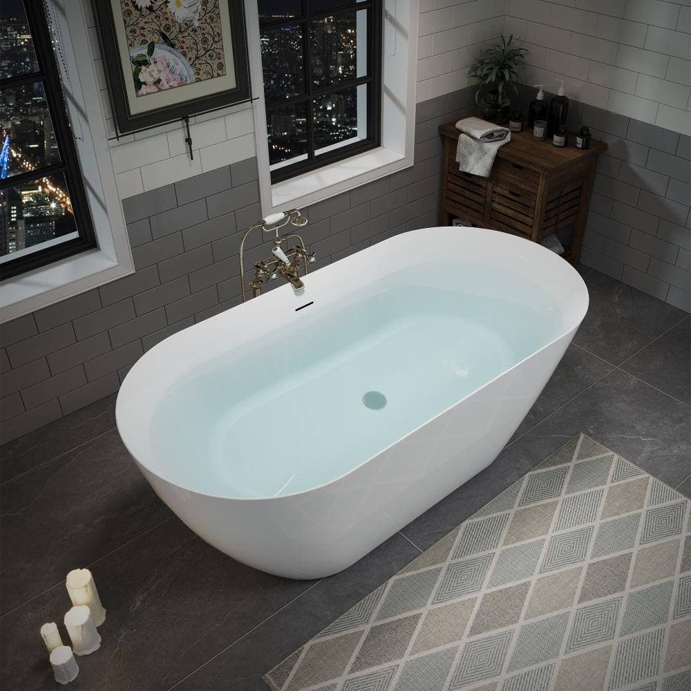 Aionor Double Slipper Freestanding Bathtub Backrest Soaking Design with Overflow Glossy White (4)