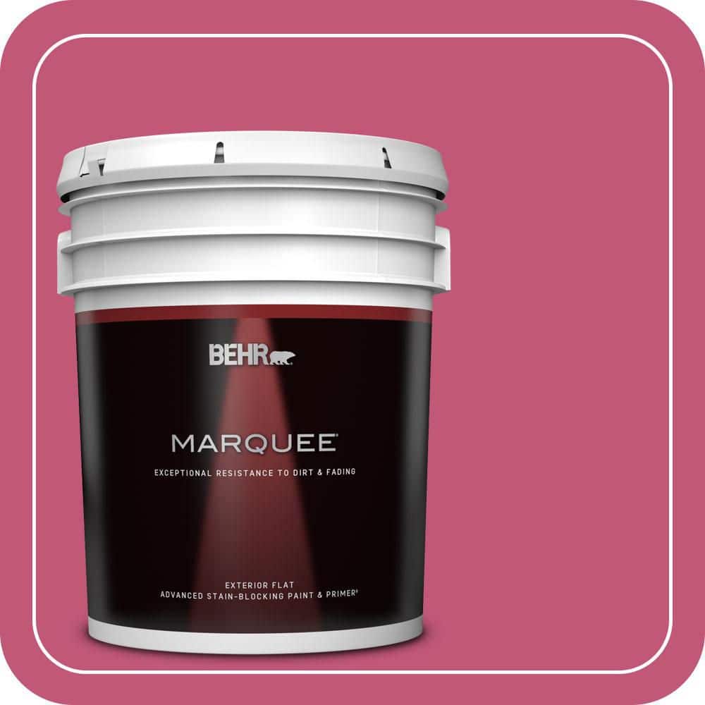 BEHR MARQUEE 5 gal. #T16-02 Pagoda Flat Exterior Paint & Primer (1)