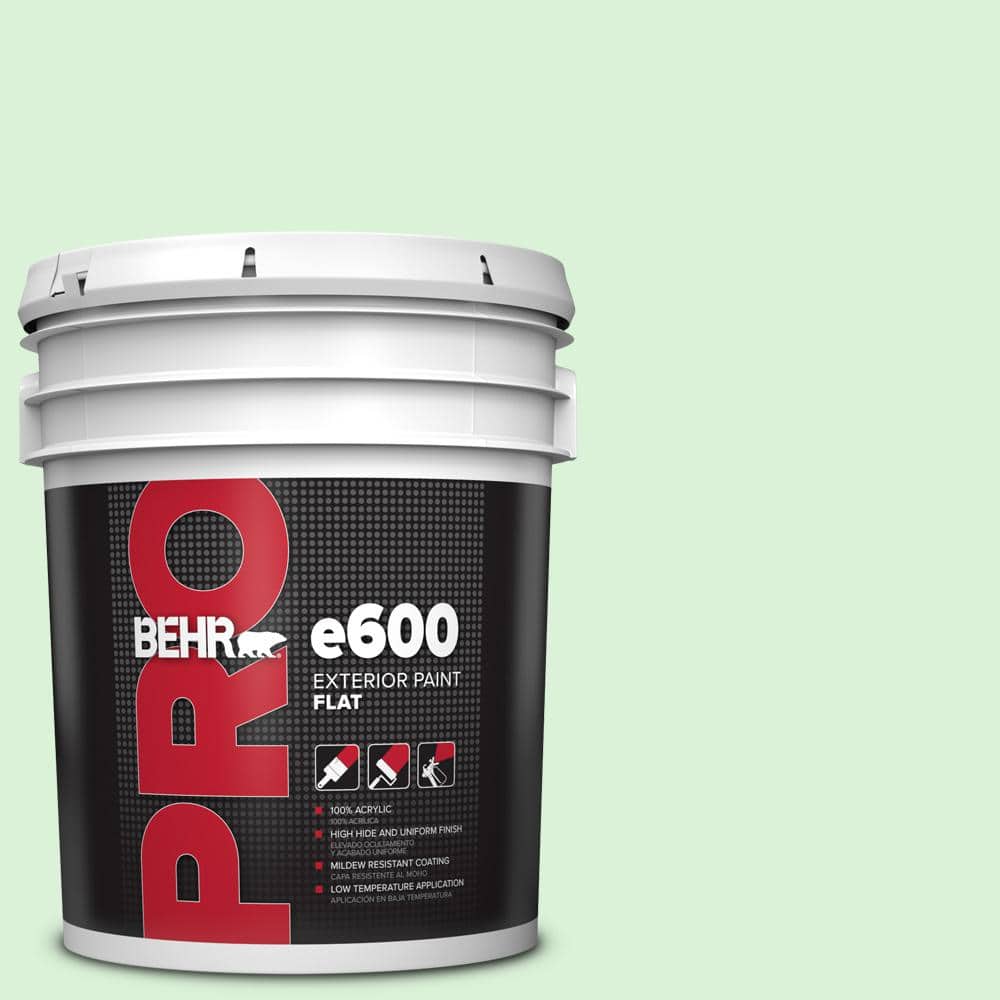 BEHR PRO 5 gal. #P390-1 Frostini Exterior Flat Paint