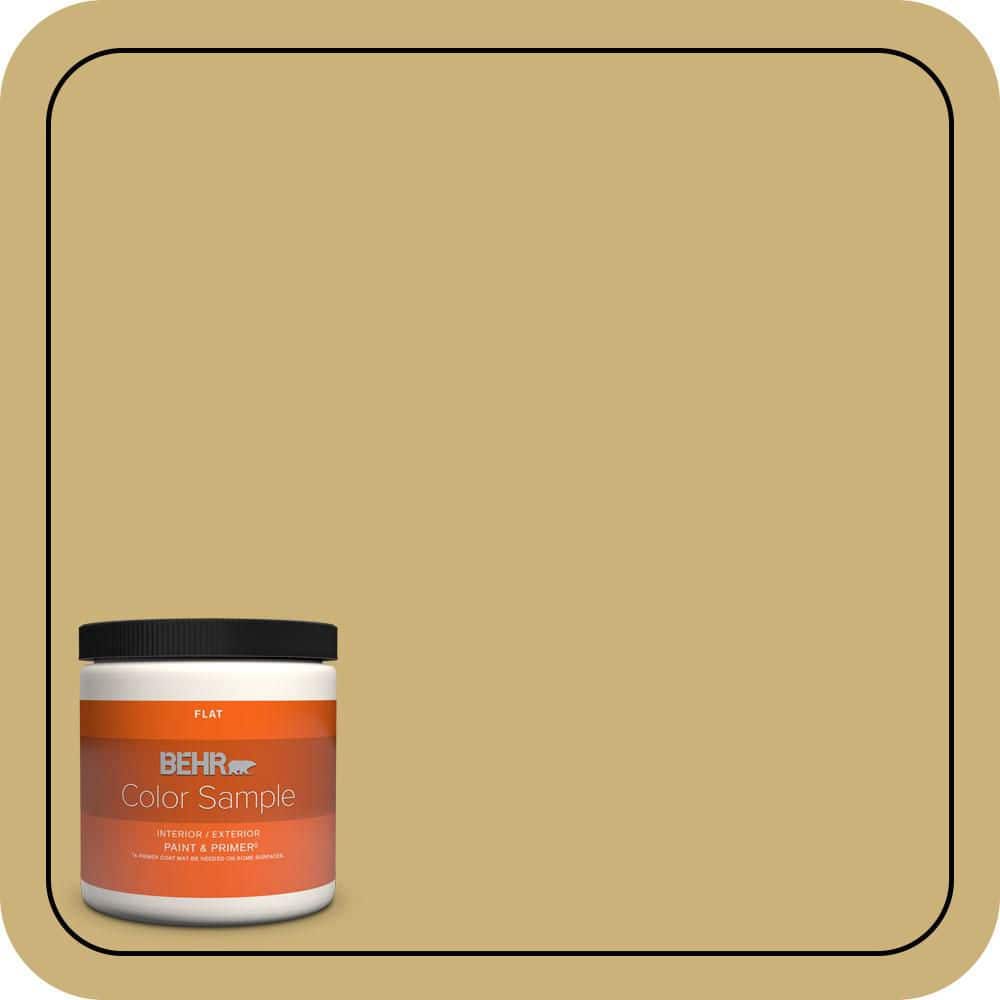 BEHR PREMIUM PLUS #360F-4 Dry Sea Grass Flat Interior/Exterior Paint & Primer Color Sample