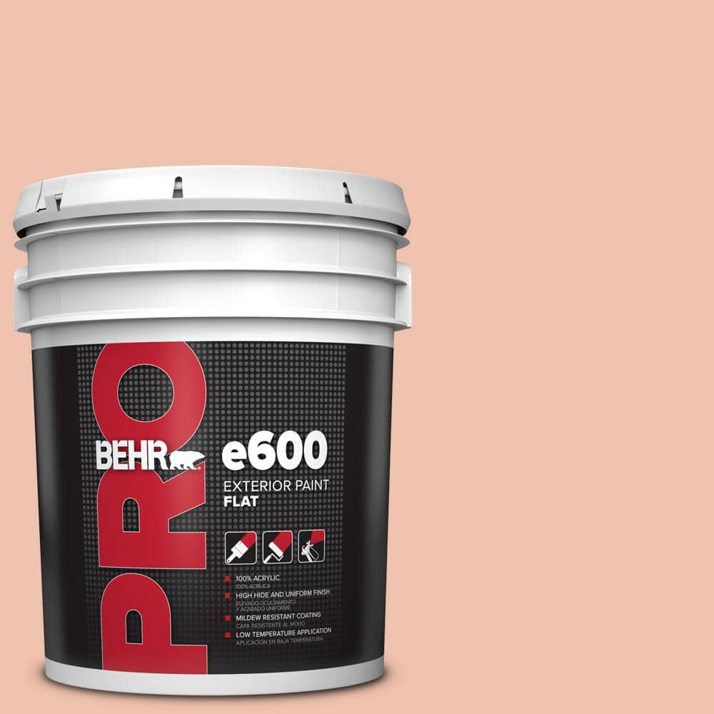 BEHR PRO 5 gal. #M180-3 Flamingo Feather Exterior Flat Paint