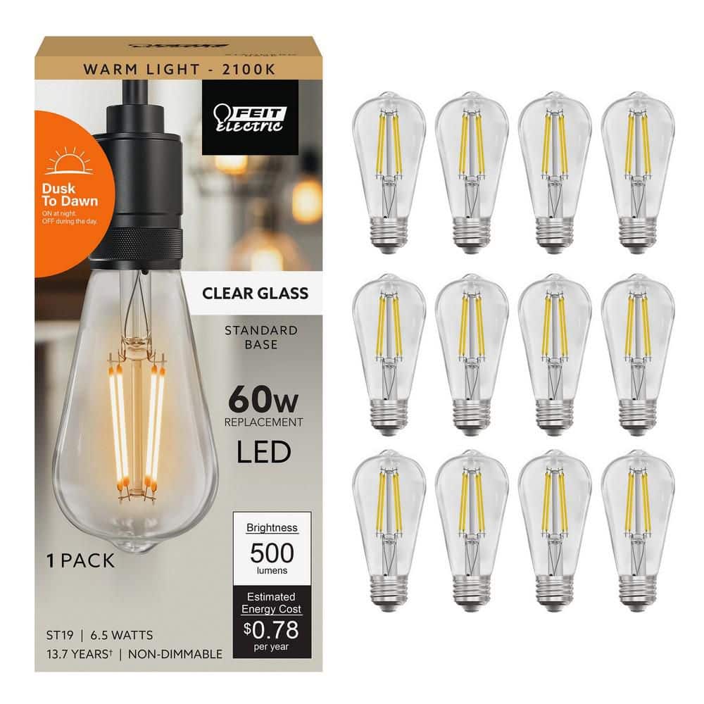 Feit Electric 60-Watt Equivalent ST19 Straight Filament Dusk to Dawn Clear Glass E26 Vintage Edison LED Light Bulb Warm White(12-Pack)