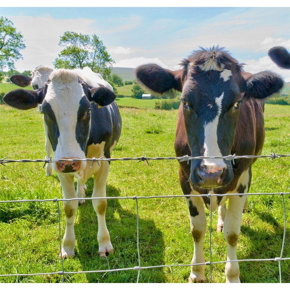 KIWDZFU Farm Fence 4 ft. x 164 ft. Heavy Zinc Coating Galvanized Field Wire Fencing for Livestock and Animal Protection (3)