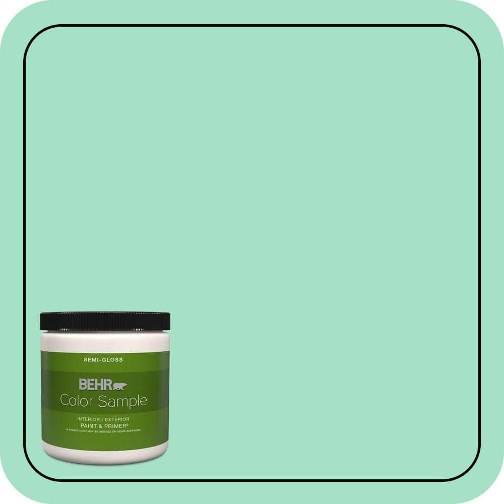 BEHR PREMIUM PLUS #470A-3 Reef Green Flat Interior/Exterior Paint & Primer Color Sample (1)