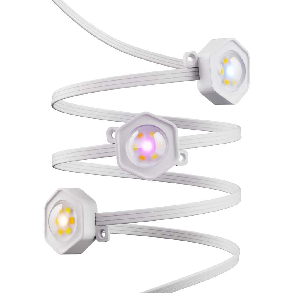 Hampton Bay 30 LED 50 ft. Plug-in Mini Integrated LED Novelty Permanent Outdoor String Light Starter Kit Powered by Hubspace (4)