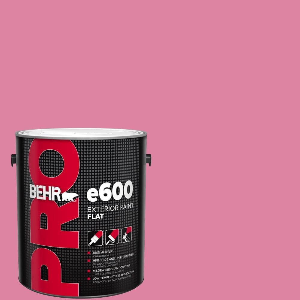 BEHR PRO 1 gal. #HDC-MD-10A Sweet Chrysanthemum Flat Exterior Paint