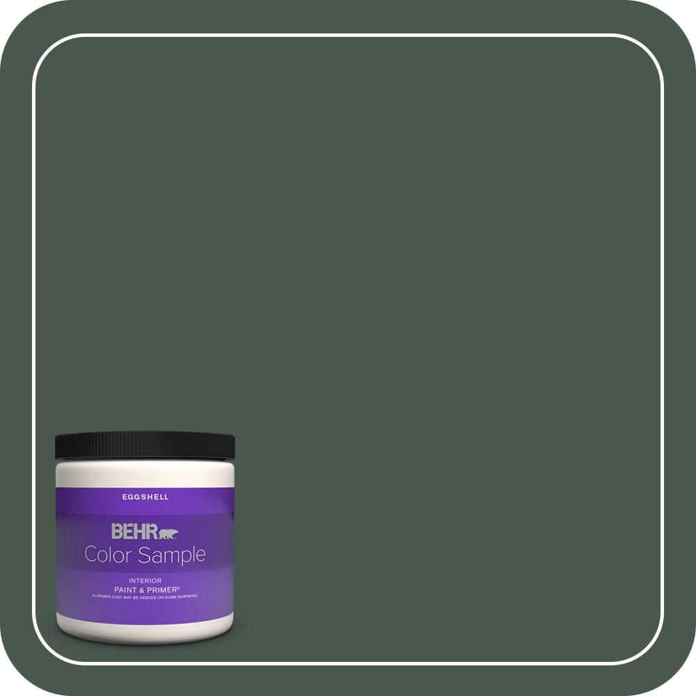 BEHR PREMIUM PLUS #ECC-45-3 Conifer Flat Interior/Exterior Paint & Primer Color Sample (1)