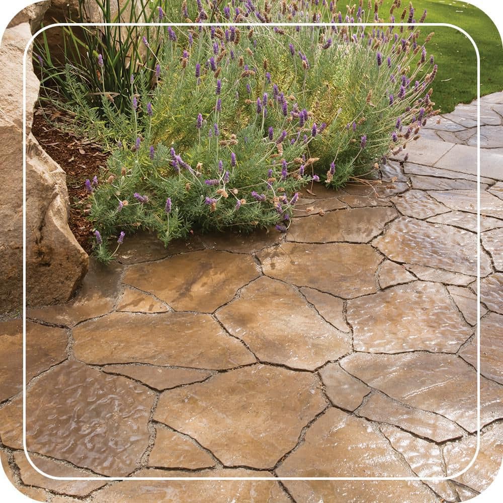 BEHR PREMIUM 5 Gal. Wet Look Sealer (3)