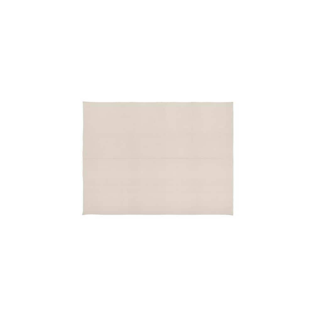 Everbilt 9 ft. x 12 ft. Medium Duty Canvas Drop Cloth (2)