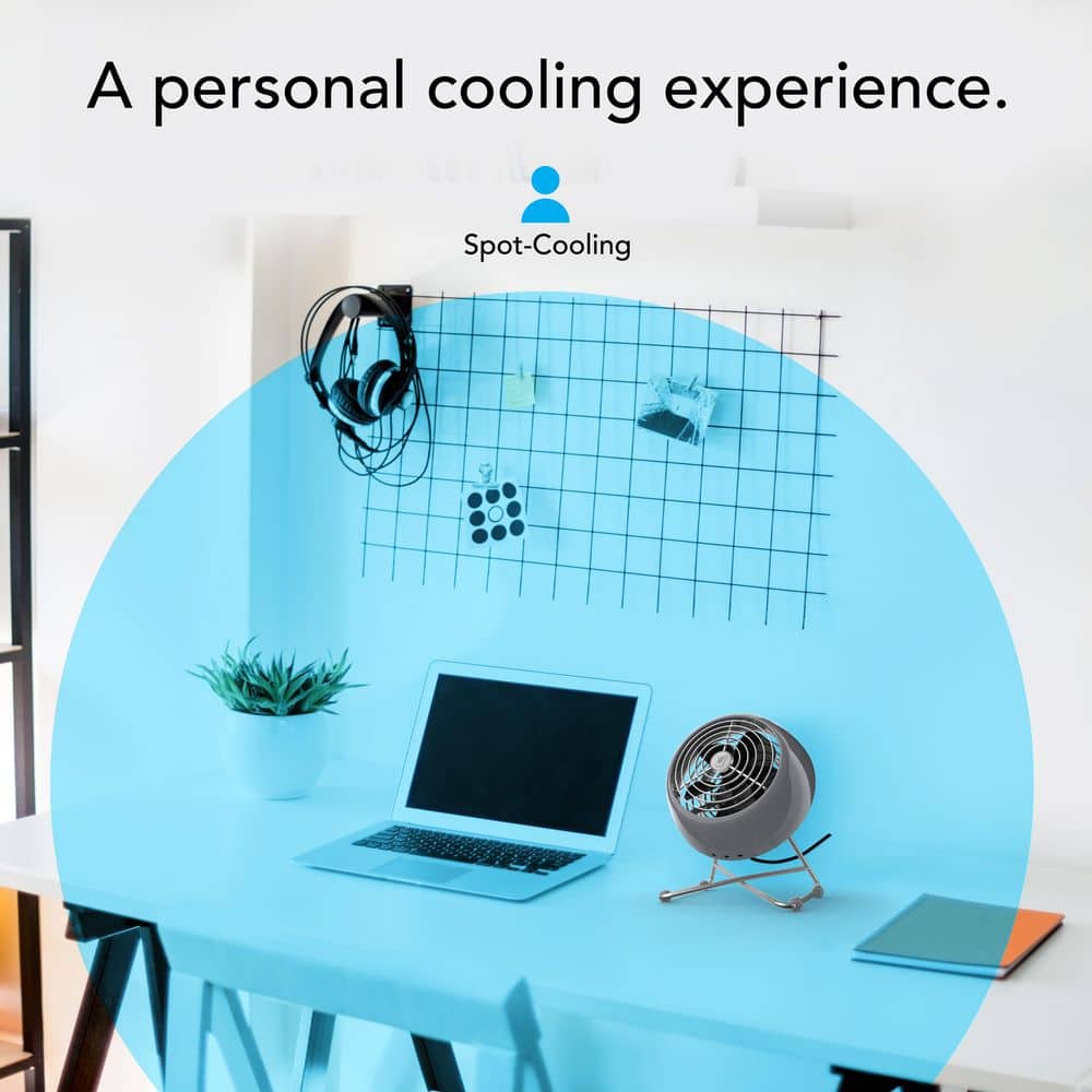 Vornado VFan Mini Modern Personal Fan, Compact Vintage Air Circulator, Storm (2)