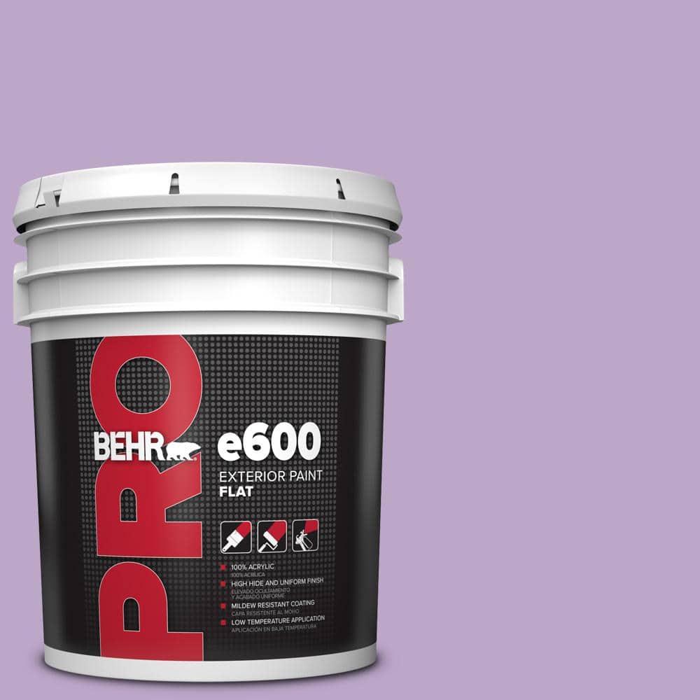 BEHR PRO 5 gal. #M570-4 Cyber Grape Flat Exterior Paint