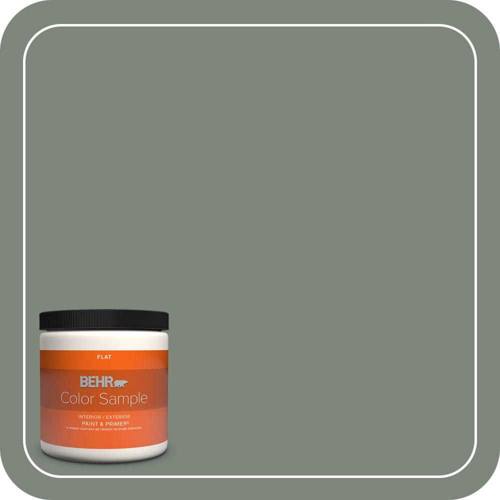 BEHR PREMIUM PLUS #N410-5 Village Green Interior/Exterior Paint & Primer Color Sample (1)