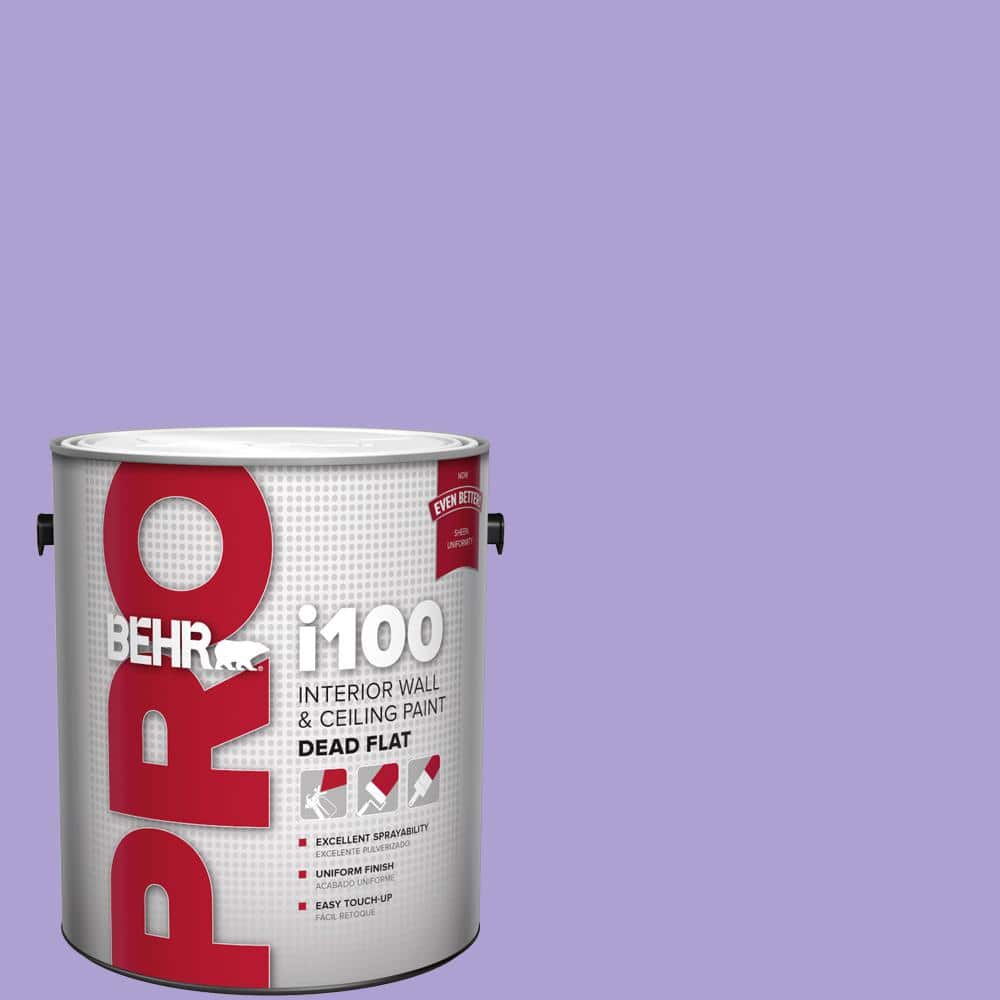 BEHR PRO 1 gal. #P560-4 Magic Wand Dead Flat Interior Paint (1)