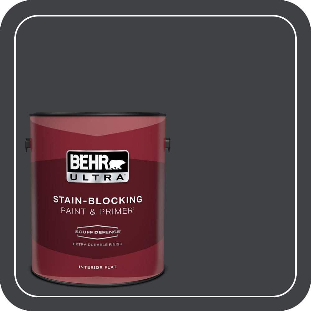 BEHR PREMIUM PLUS #750F-7 Deep Space Enamel Interior/Exterior Paint & Primer Color Sample (1)