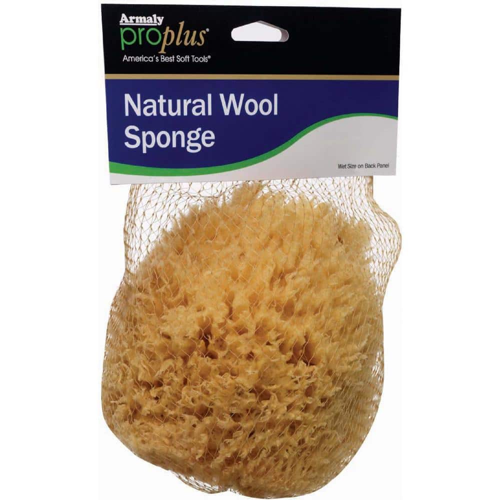 Armaly ProPlus 6 in. Natural Wool Sponge (Case of 6)