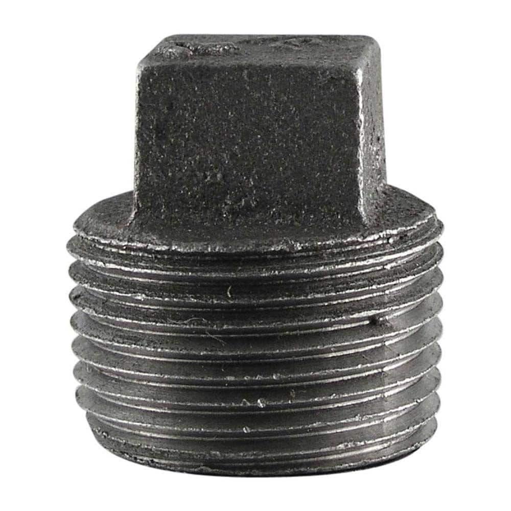 STZ 1-1/2 in. Black Iron Plug (1)